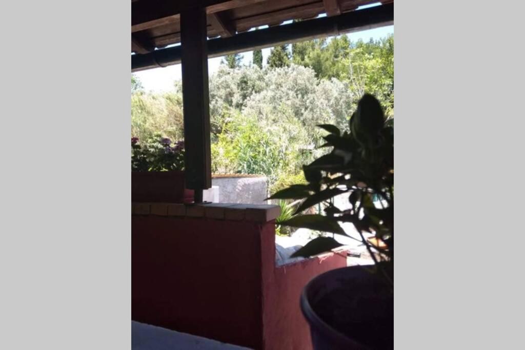 Green Hill Studio Corfu Town Exterior foto