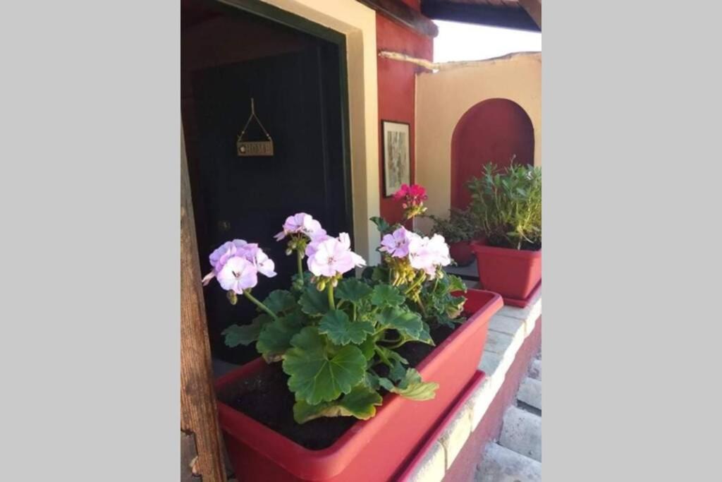 Green Hill Studio Corfu Town Exterior foto